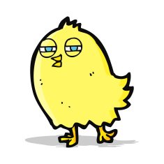 funny cartoon bird N81
