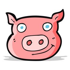 Cartoon Pig Face N11