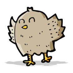 Cartoon Bird N191