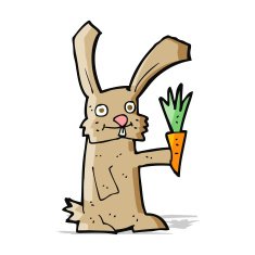 Cartoon Rabbit With Carrot N5