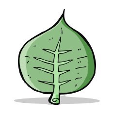 Cartoon Leaf N57