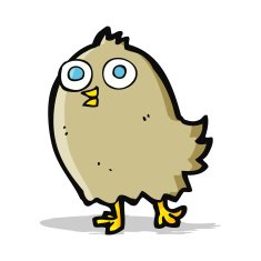 cartoon happy bird N14