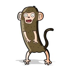 cartoon crazy monkey N11