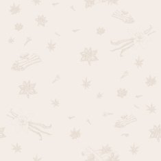 seamless pattern with spices N4