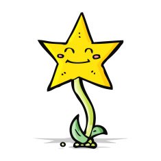 cartoon star flower N4