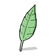 Cartoon Leaf N59