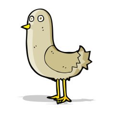 Cartoon Bird N196