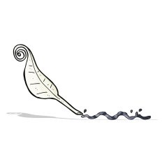 cartoon feather quill N4