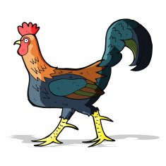 cartoon cockerel N15