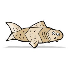 cartoon funny fish N18