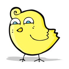 cartoon funny bird N6