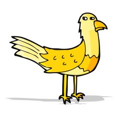 Cartoon Bird N201