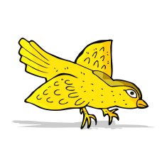Cartoon Bird N202