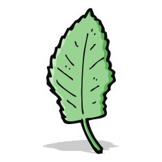 cartoon leaf symbol N23