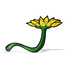 cartoon flower N242