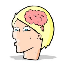 cartoon head with brain symbol N15