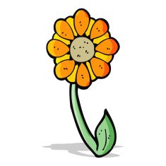 caroton flower N3