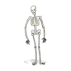 cartoon spooky skeleton N4