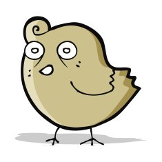 funny cartoon bird N97
