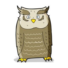 Cartoon Owl N104
