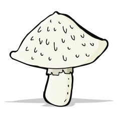 cartoon wild mushroom N5