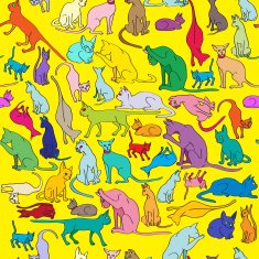Colored cats pattern
