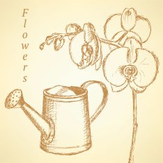Sketch orchid and watering can vector background N2