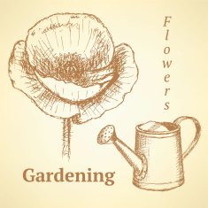 Sketch poppy and watering can vector background N2