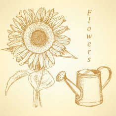 Sketch sunflower and watering can vector background