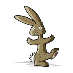 Cartoon Rabbit N88