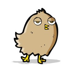 funny cartoon bird N100