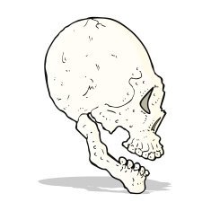 skull illustration N6