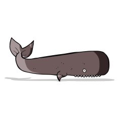 Cartoon Whale N65