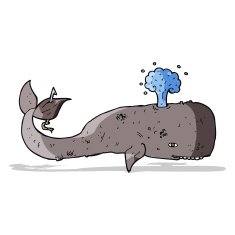 Cartoon Whale N66