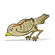 cartoon garden bird N14