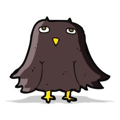 Cartoon Owl N105