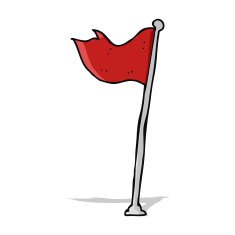 cartoon flag N8
