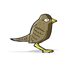 cartoon garden bird N15