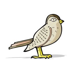 cartoon garden bird N16