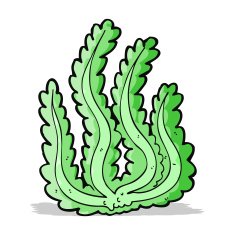 Cartoon Seaweed N41