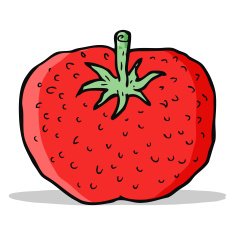 Cartoon Tomato N81