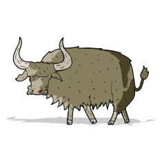 cartoon annoyed hairy cow N2
