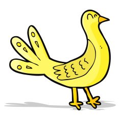 Cartoon Bird N208