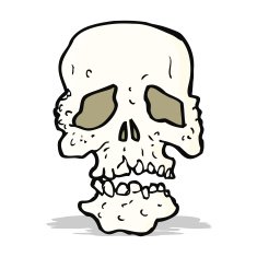 Cartoon Skull N53
