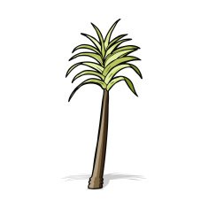 Cartoon Palm Tree N67