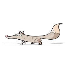 cartoon little wolf N53