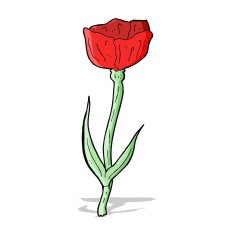 cartoon poppy N4