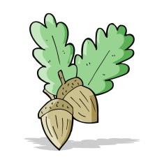 cartoon acorns N3