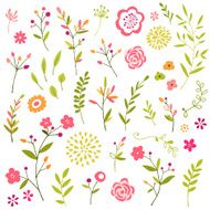Hand Drawn Floral Design Elements N5