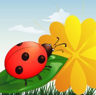 Ladybug on leaf